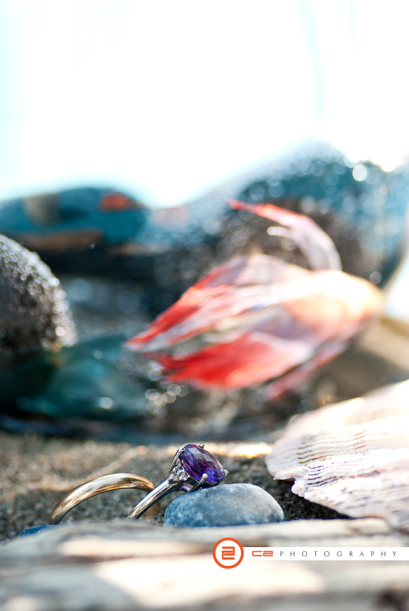 Jewell and Zachary's Rings