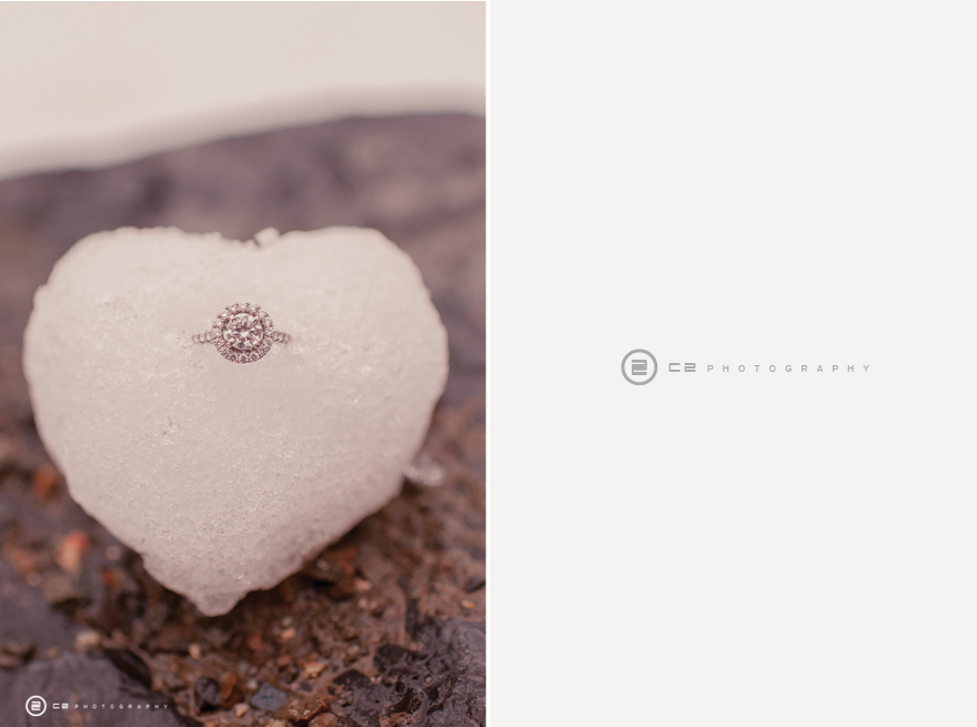 MichelleJasonEngagement-12