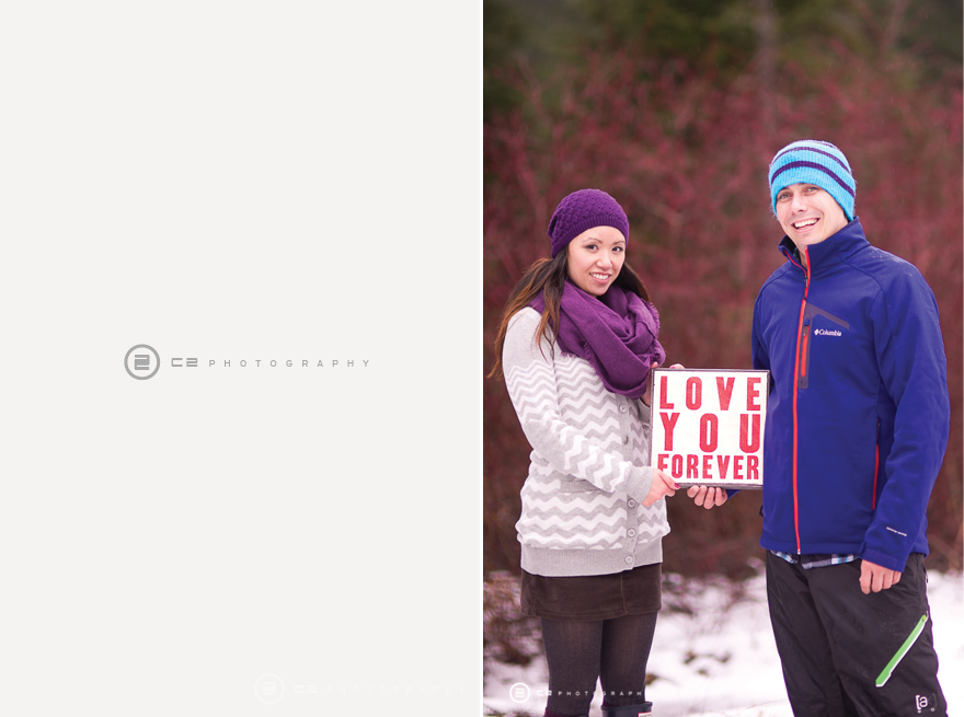 MichelleJasonEngagement-17