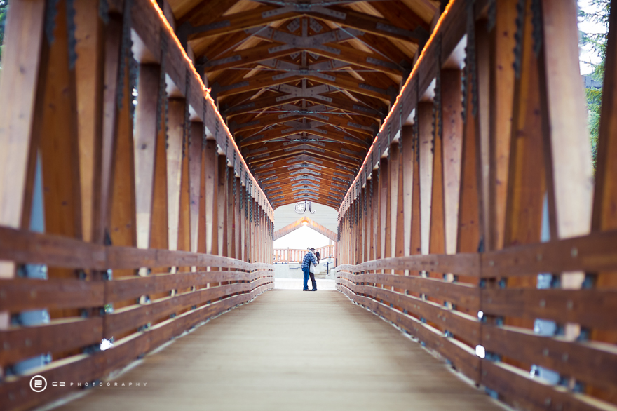 MichelleJasonEngagement-5