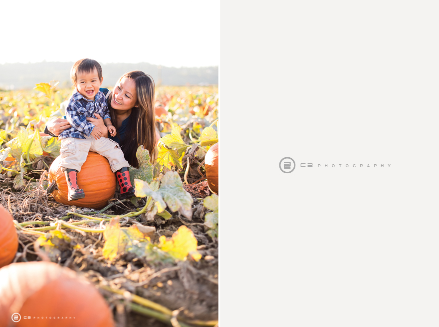 Cornfield 10-5-14-10