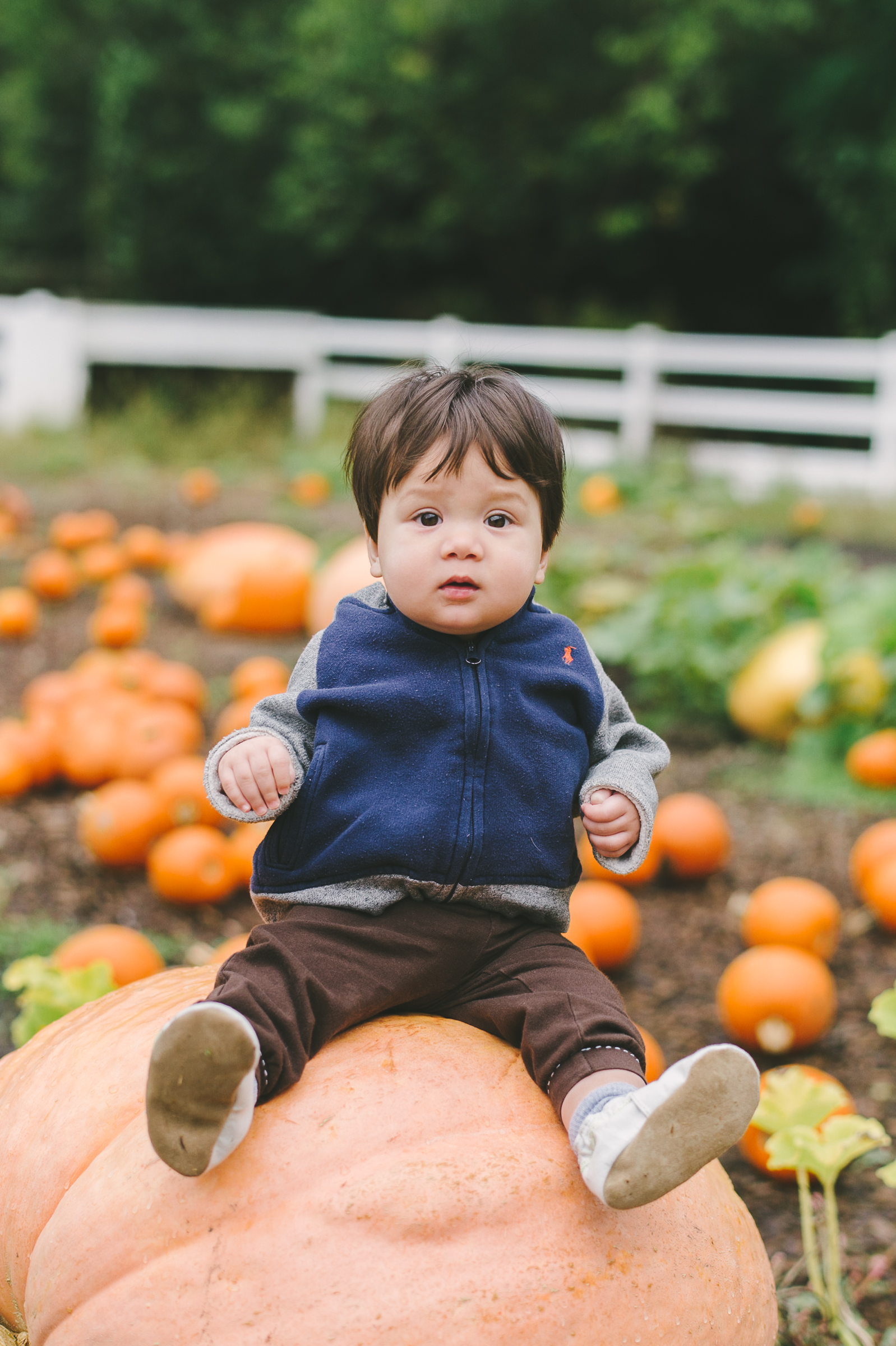 foxhollowpurestorage-32